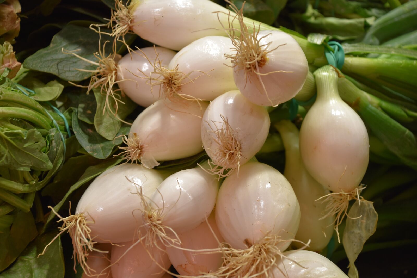 Nikon D5600 sample photo. Food, nature, vegetable photography