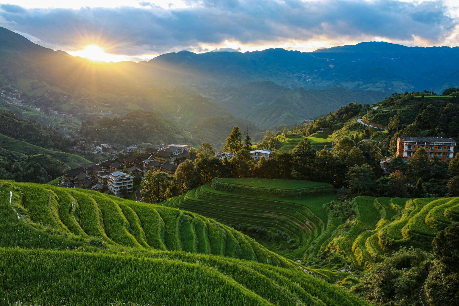 Canon EOS 5D Mark III sample photo. Terraced field, sunrise, summer photography