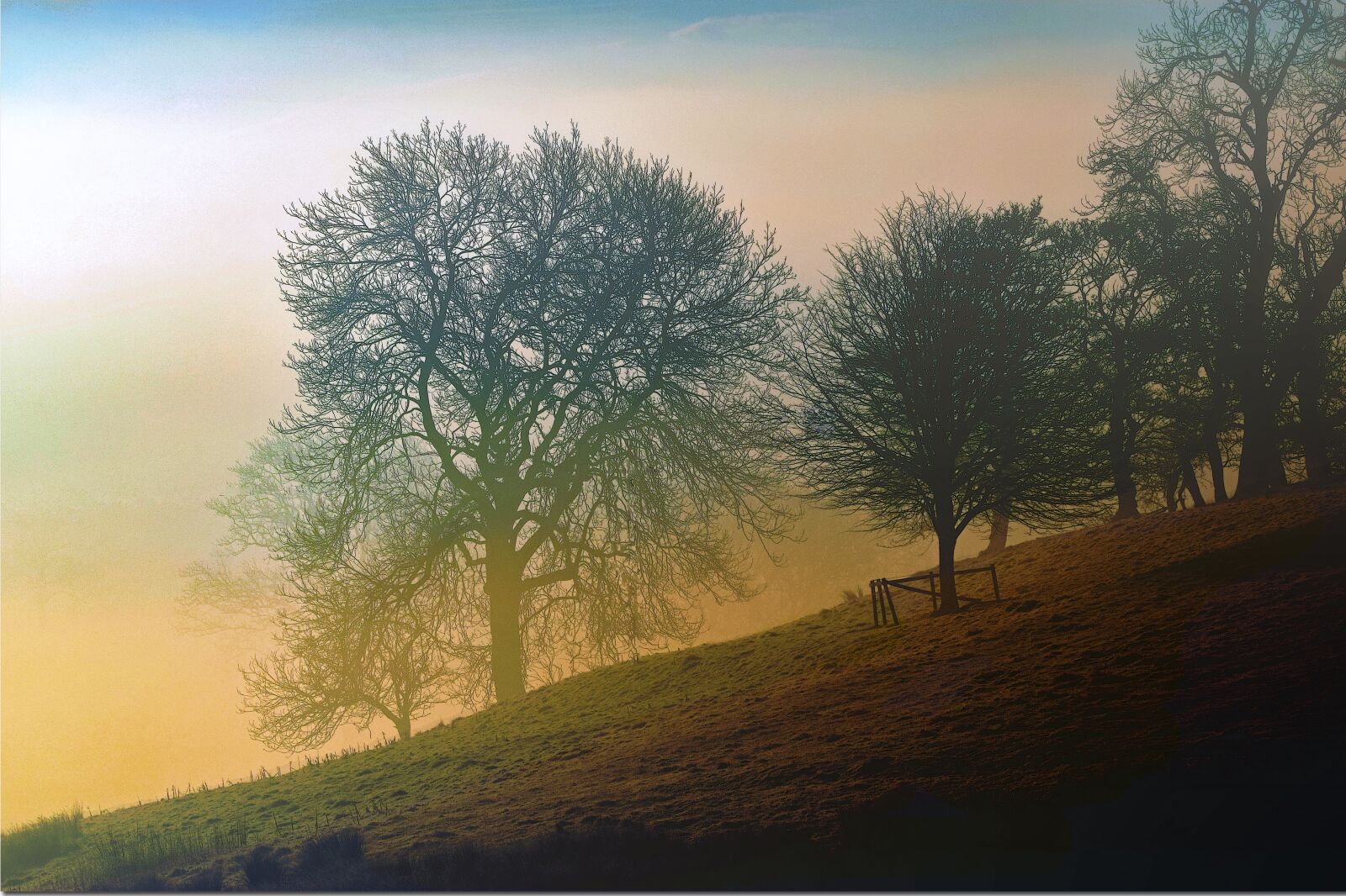Nikon D3300 sample photo. Landscape, trees, mist photography
