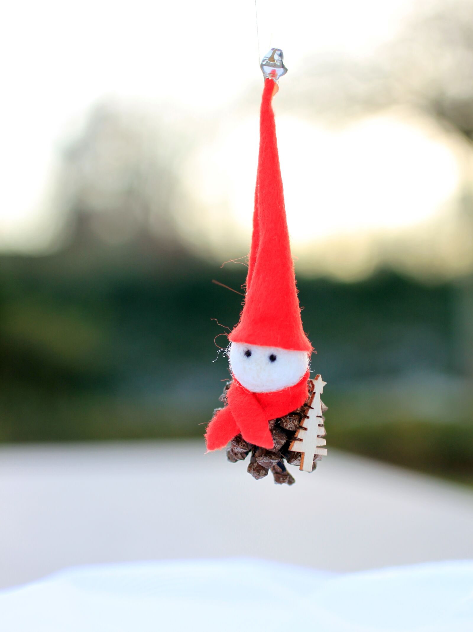 Canon EOS 500D (EOS Rebel T1i / EOS Kiss X3) sample photo. Winter, santa claus, imp photography