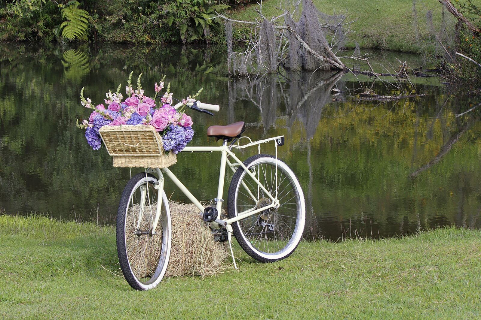 Canon EOS 600D (Rebel EOS T3i / EOS Kiss X5) sample photo. Lawn, bike old, nature photography