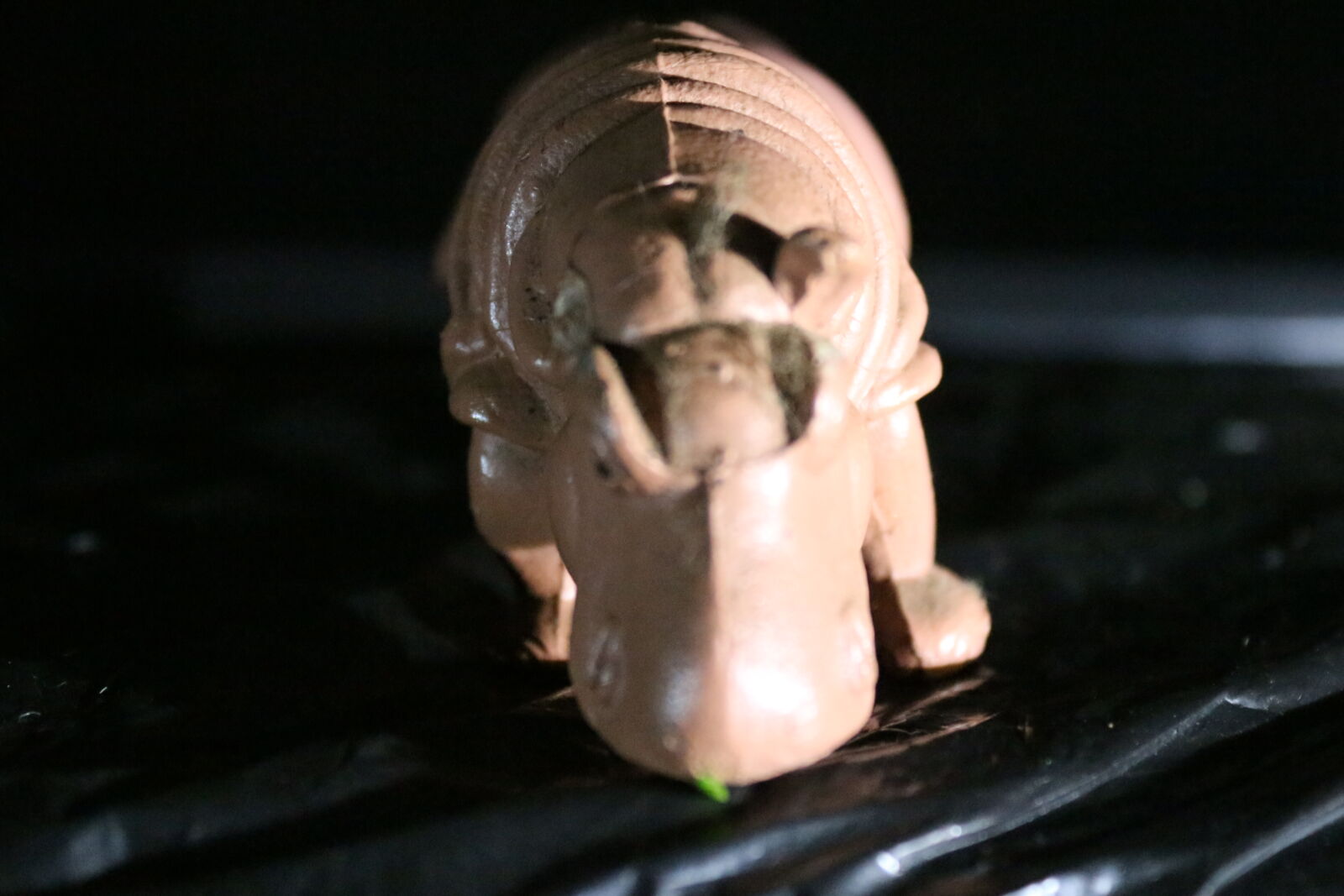 Canon EOS 700D (EOS Rebel T5i / EOS Kiss X7i) sample photo. Hippopotamus photography