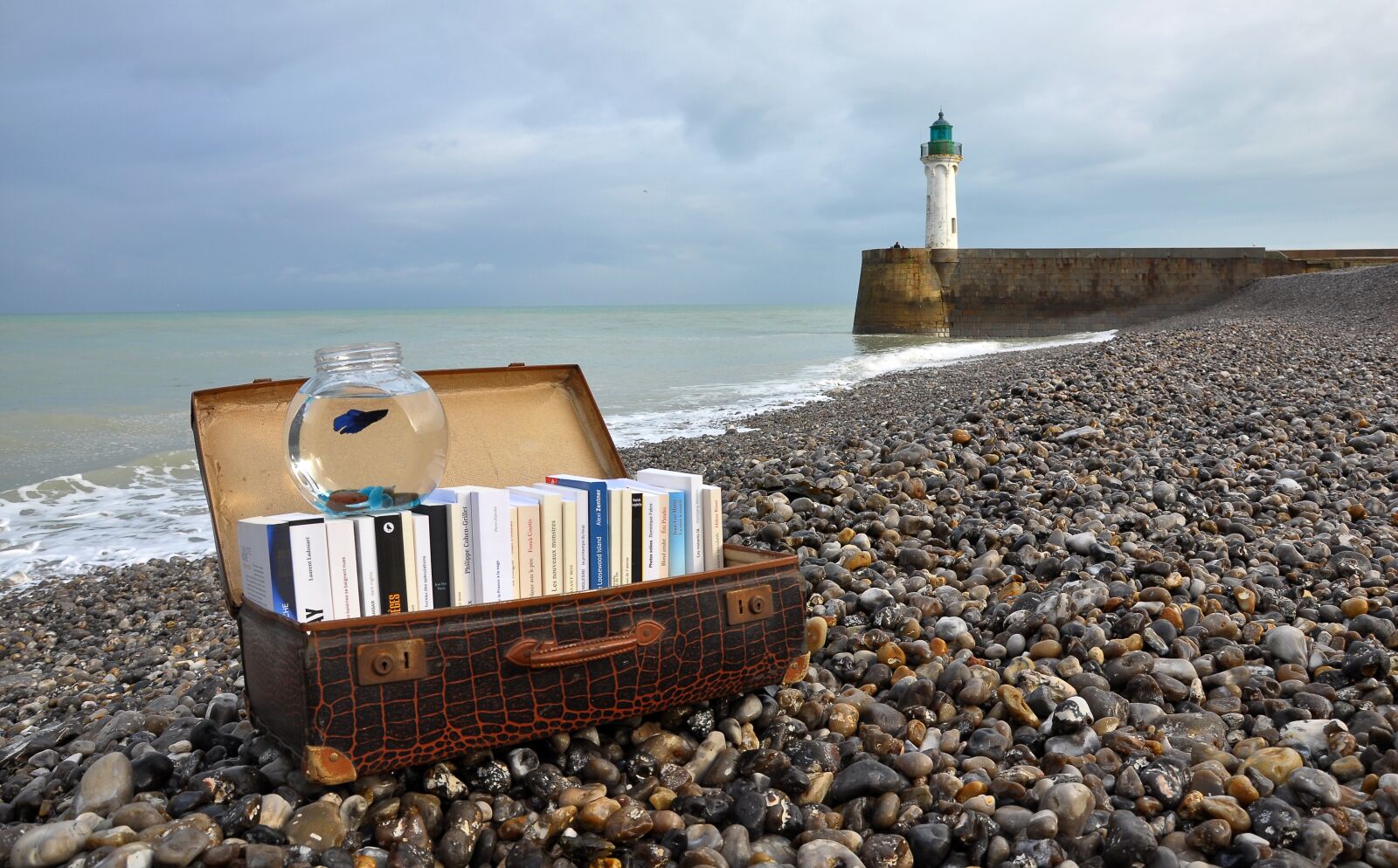 Nikon D90 sample photo. Books, suitcase, novel photography
