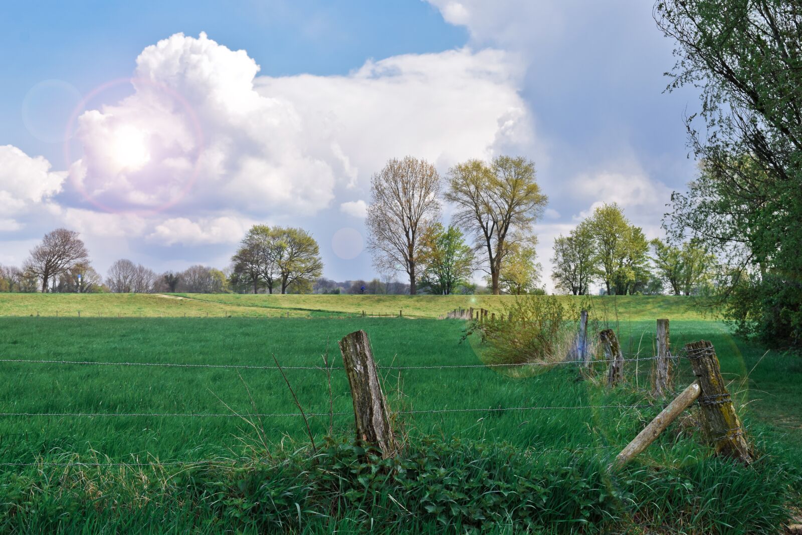 Nikon D3300 sample photo. Landscape, auen, nature photography