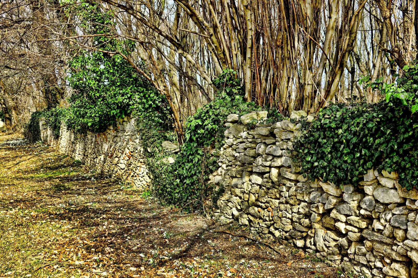 Sony Cyber-shot DSC-RX10 III sample photo. Nature, stone, stone wall photography