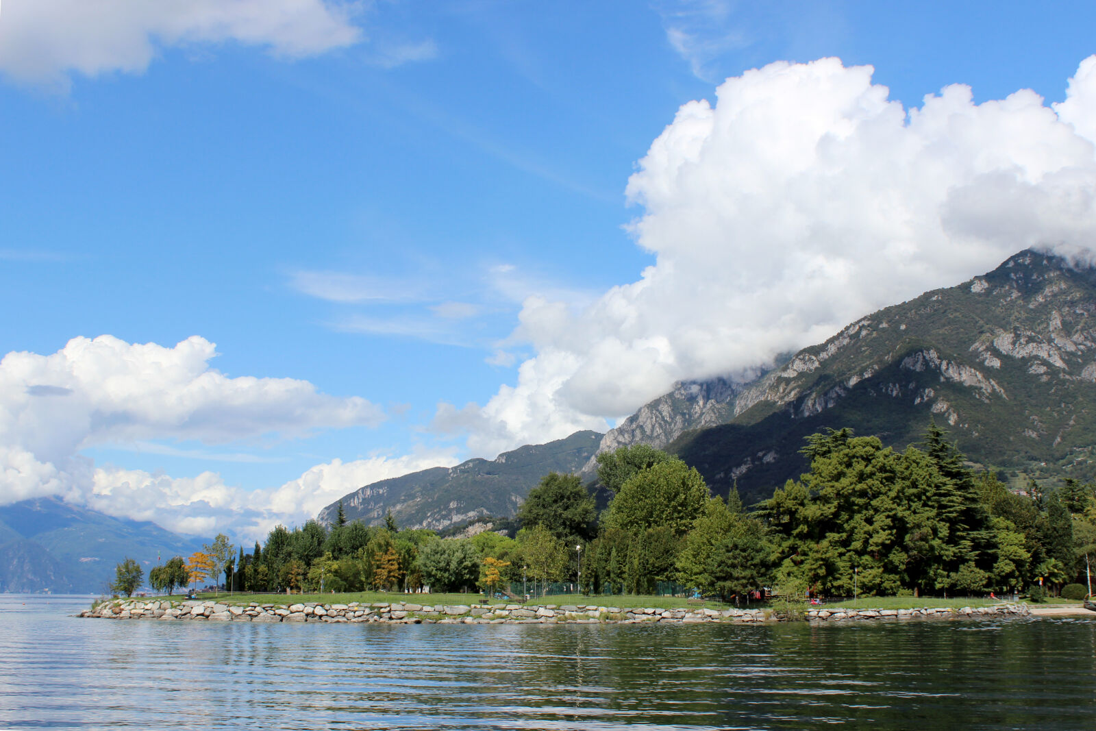 Canon EOS 600D (Rebel EOS T3i / EOS Kiss X5) sample photo. Amazing, anaconda, beautiful, blue photography