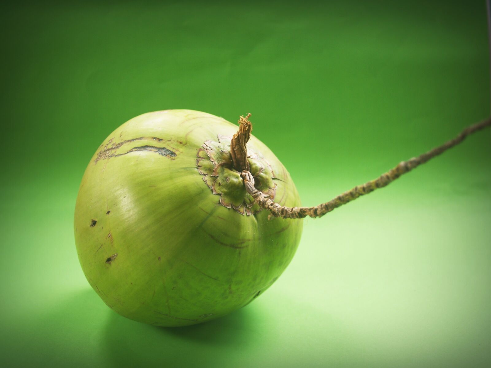 Olympus E-300 (EVOLT E-300) sample photo. Coconut, green, white photography
