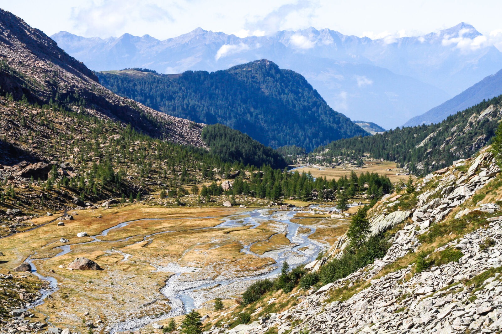 Canon EOS 7D + Canon EF 50mm F1.8 II sample photo. Green, trees, on, mountain photography