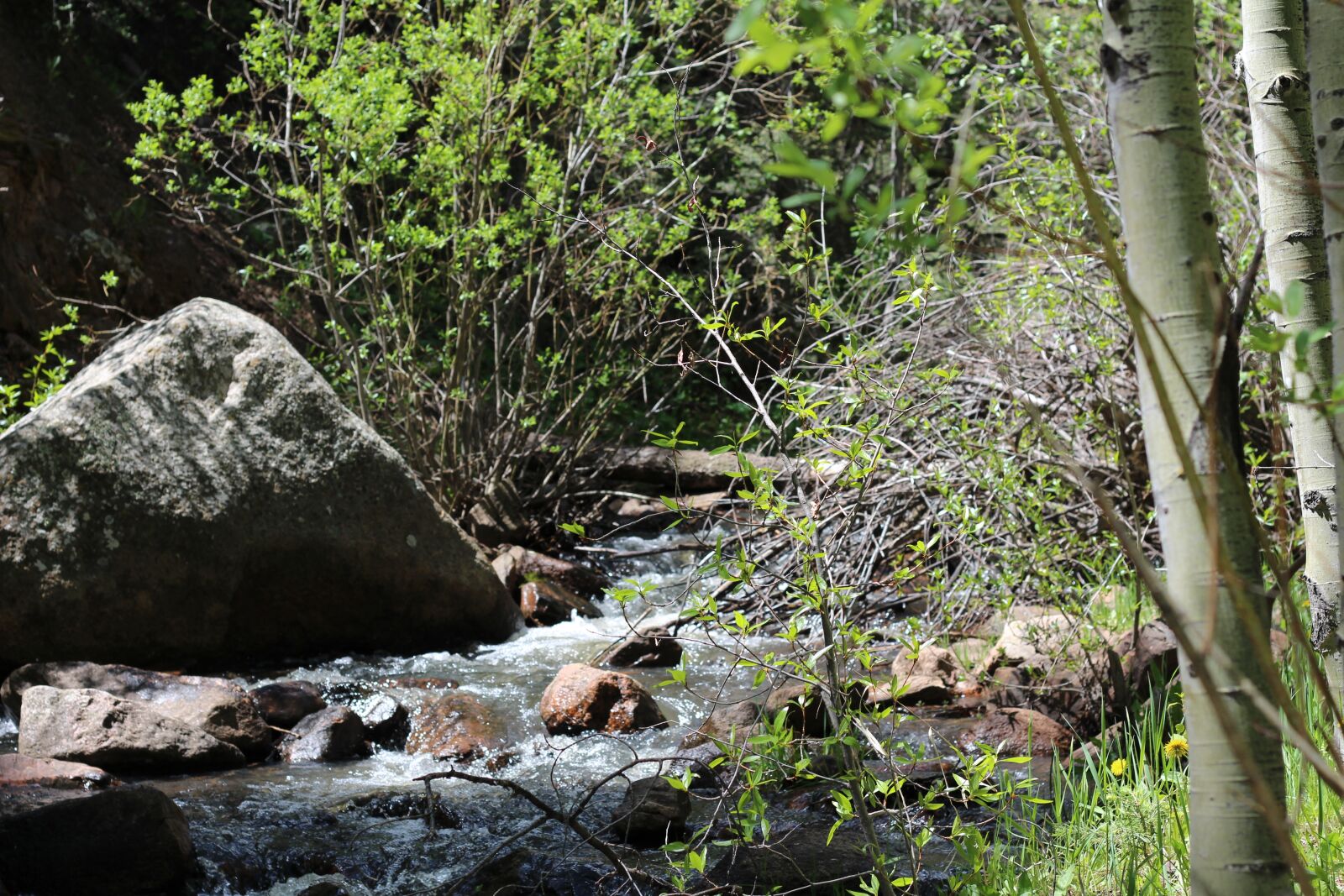 Canon EOS 650D (EOS Rebel T4i / EOS Kiss X6i) + Canon EF 50mm F1.8 II sample photo. Stream, water, rocks photography