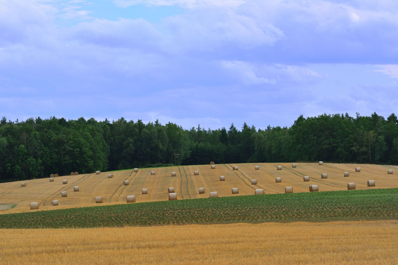 Nikon D5200 sample photo. Harvest, straw bales, agriculture photography