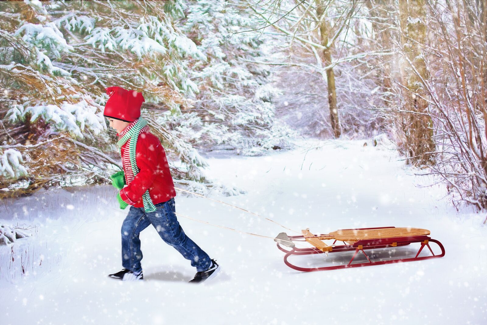 Canon EF 50mm F1.4 USM sample photo. Winter background, christmas background photography
