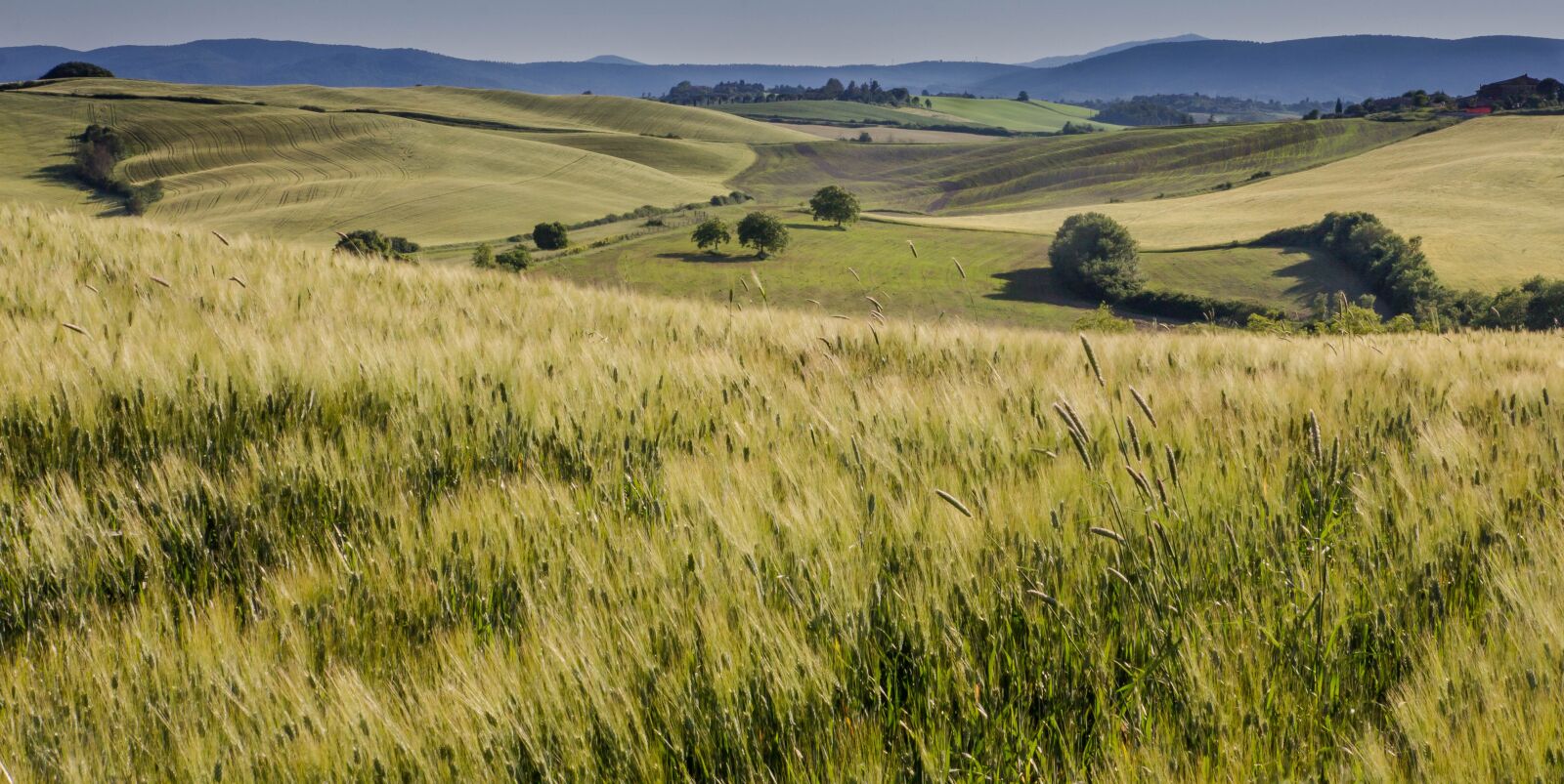Canon EOS 60D sample photo. Tuscany, italy, landscape photography
