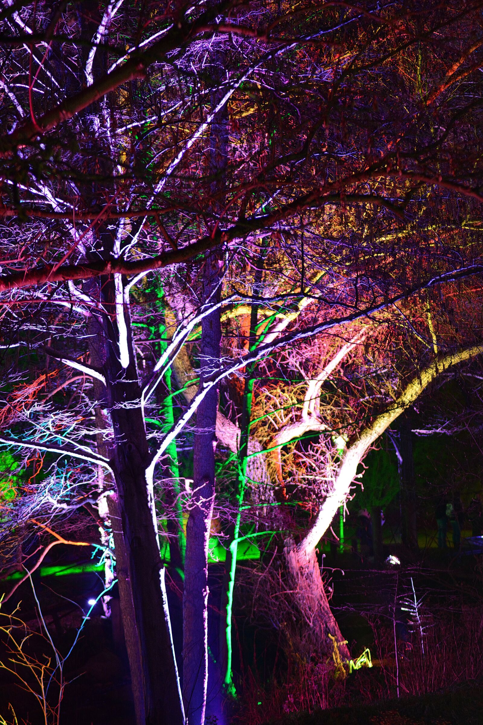 Nikon D5200 sample photo. Illumination, night, light photography