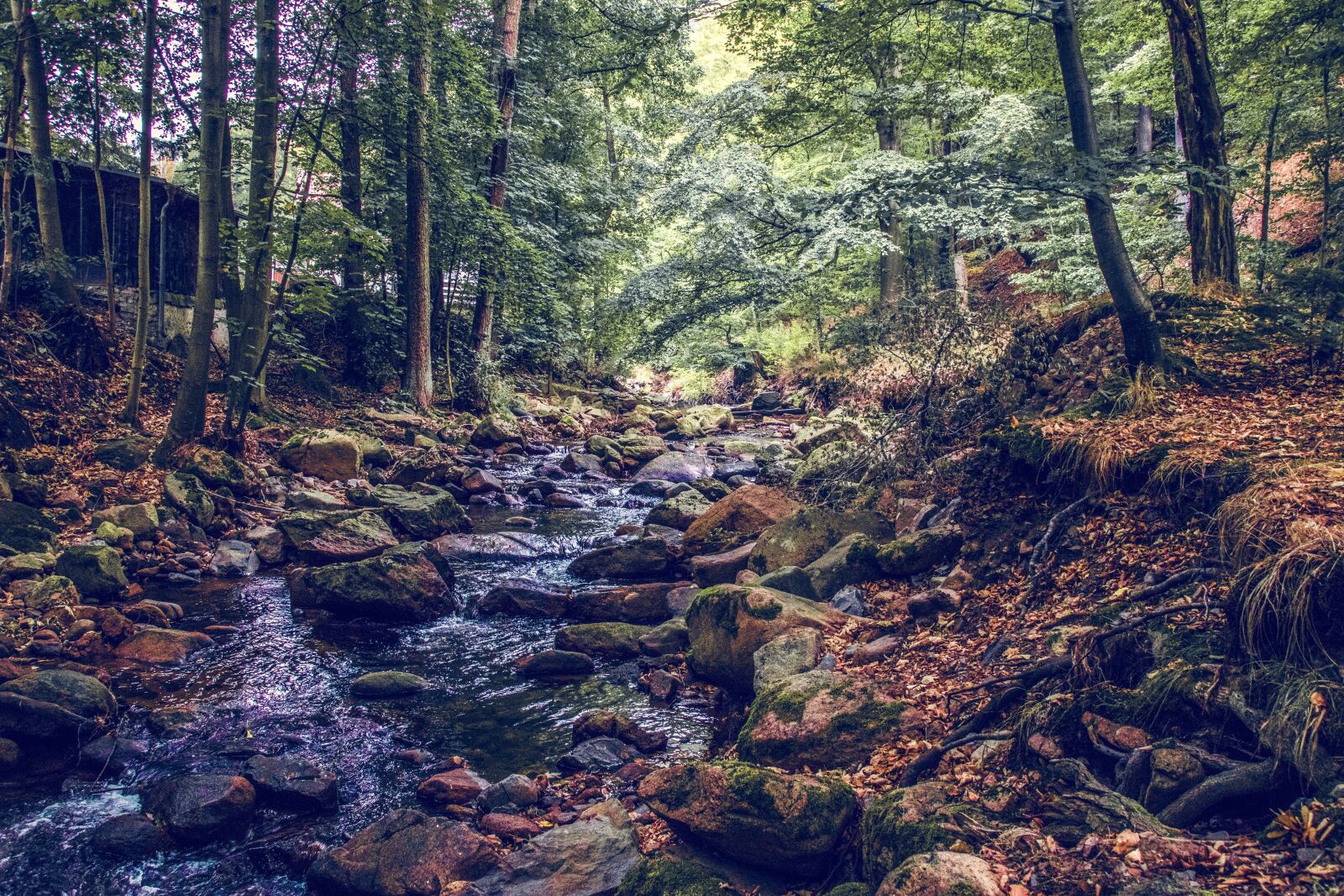 Canon EOS 80D sample photo. River, creek, water photography