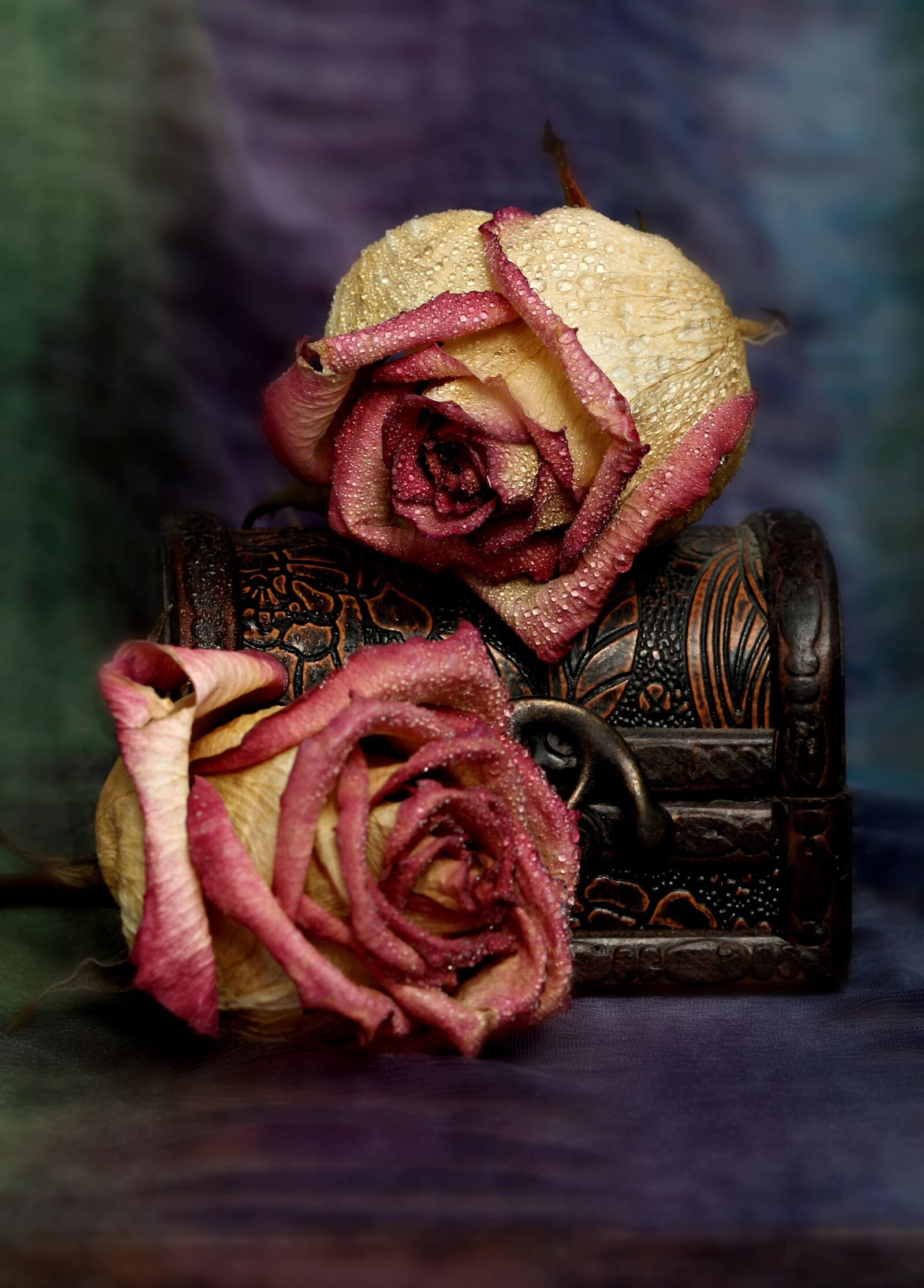 Canon EOS 700D (EOS Rebel T5i / EOS Kiss X7i) + Canon EF 85mm F1.8 USM sample photo. Rose, box, dry photography