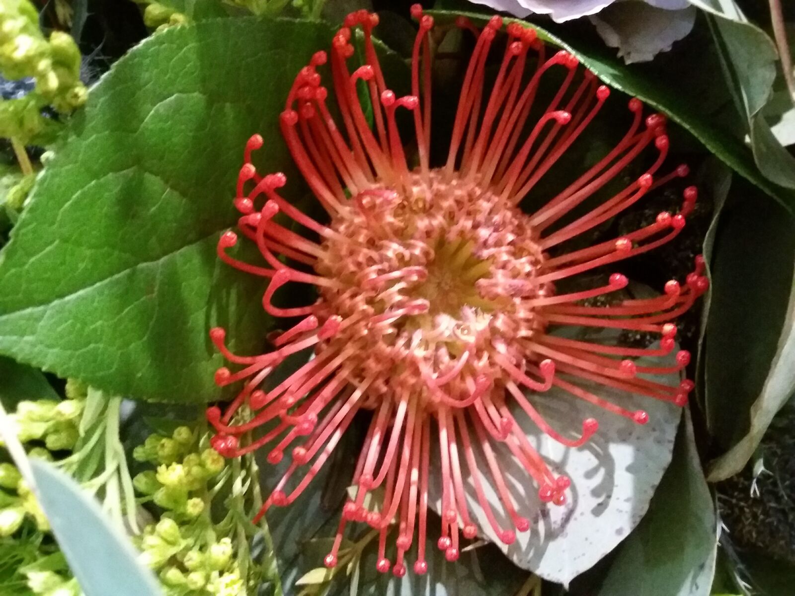 Samsung Galaxy J3(2016) sample photo