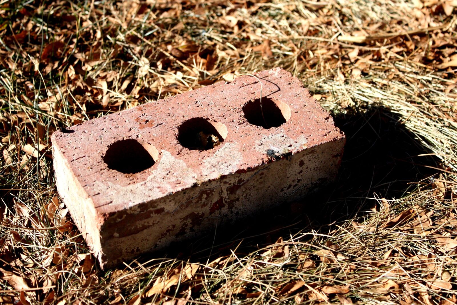 f/3.5-5.6 IS sample photo. Red brick, holes photography