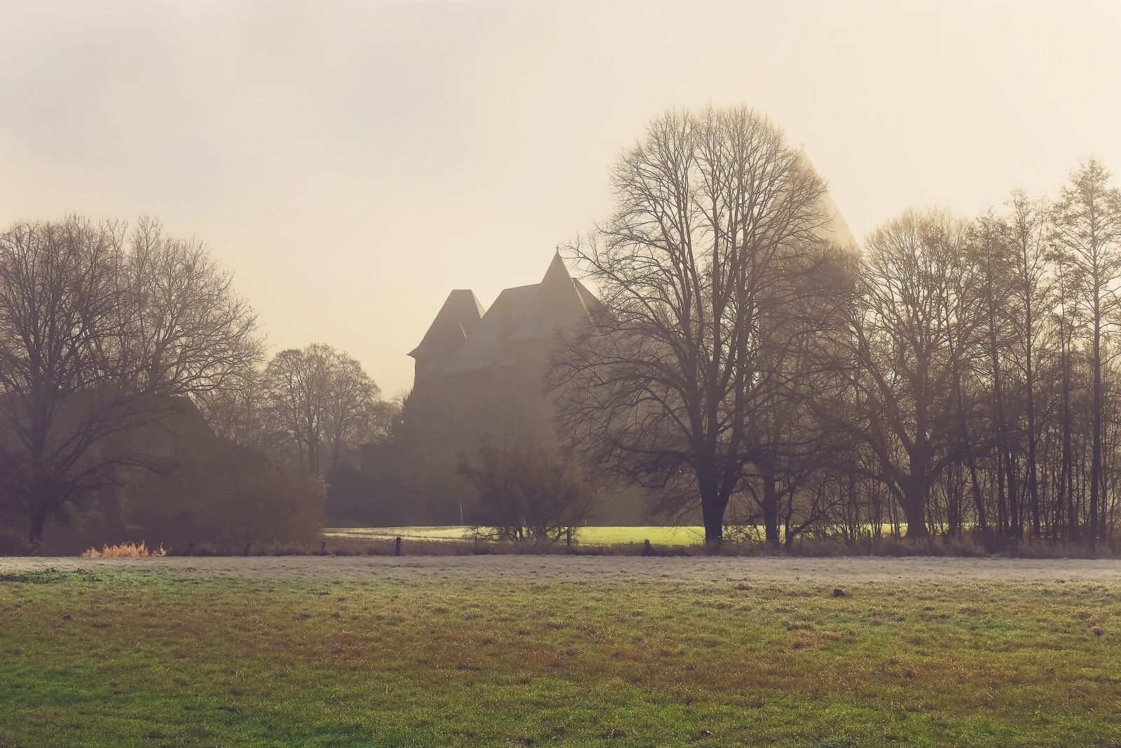 Olympus OM-D E-M10 sample photo. Landscape, fog, nature photography