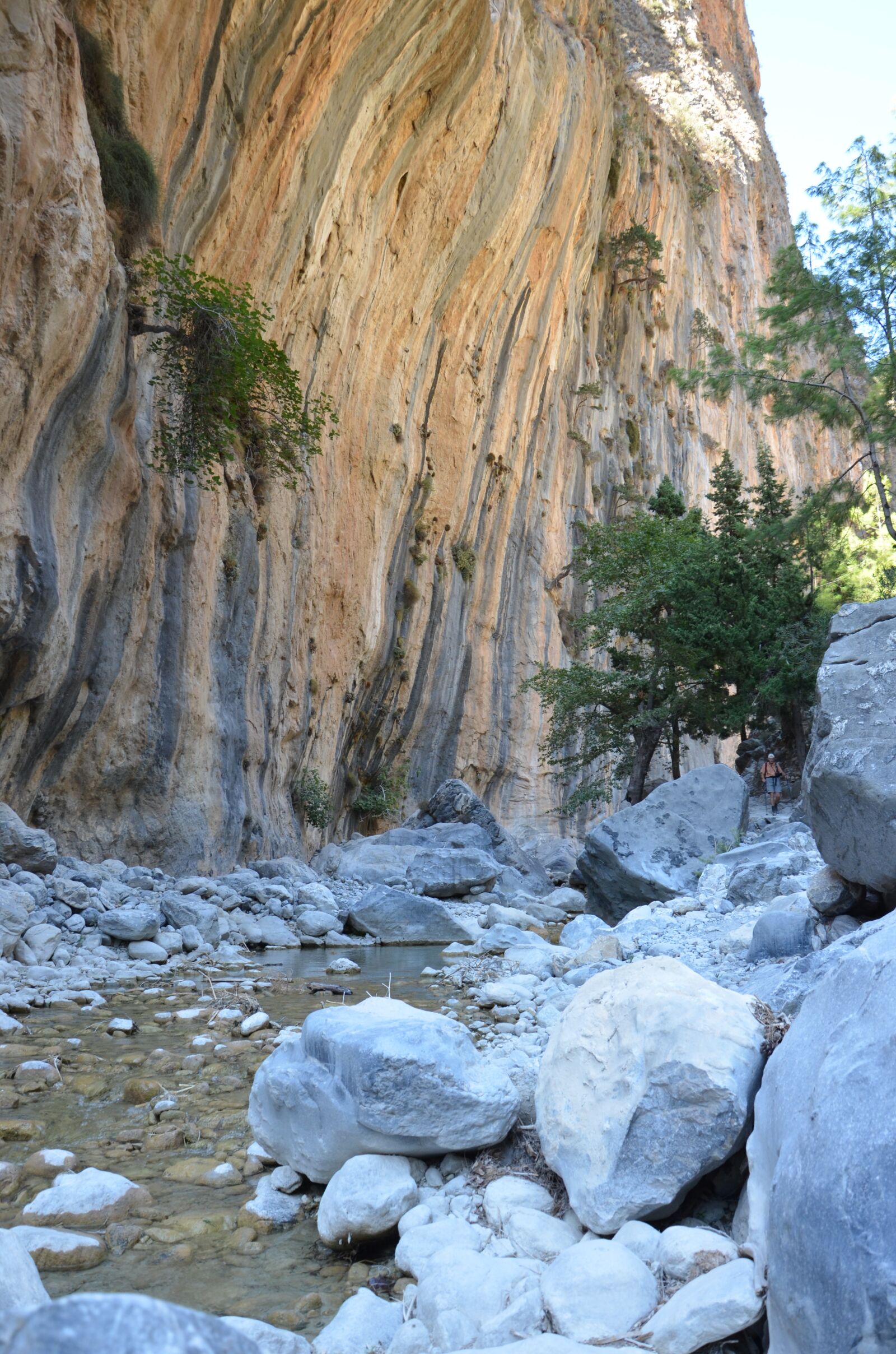 Nikon D5100 sample photo. Crete, samaria, throat photography