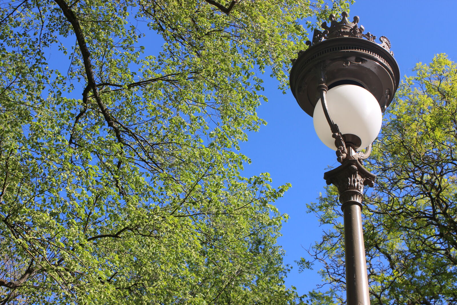 Canon EOS 600D (Rebel EOS T3i / EOS Kiss X5) sample photo. Floor, lamp, light, park photography