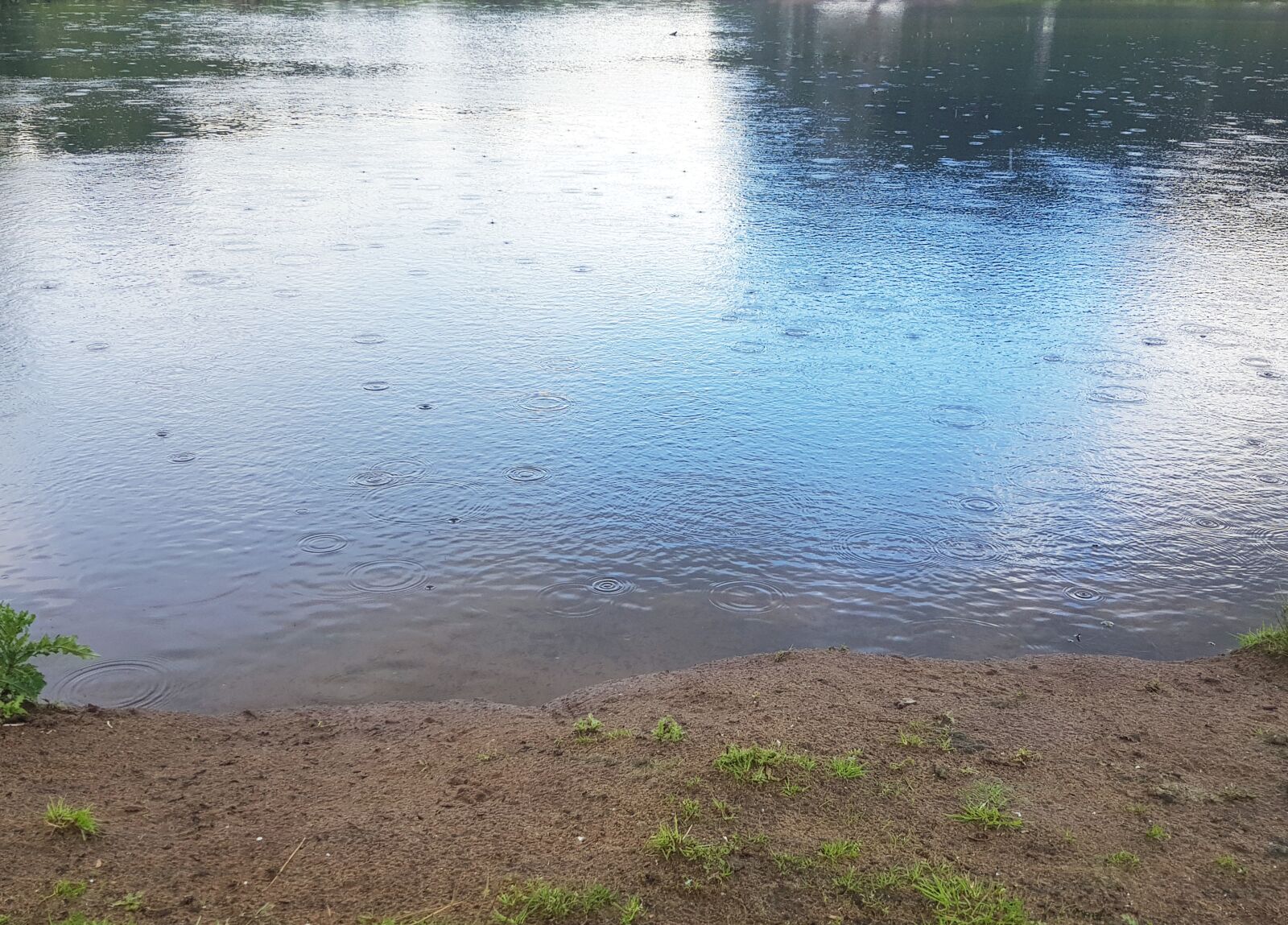 Samsung Galaxy S8 sample photo. Lake, bank, rain photography