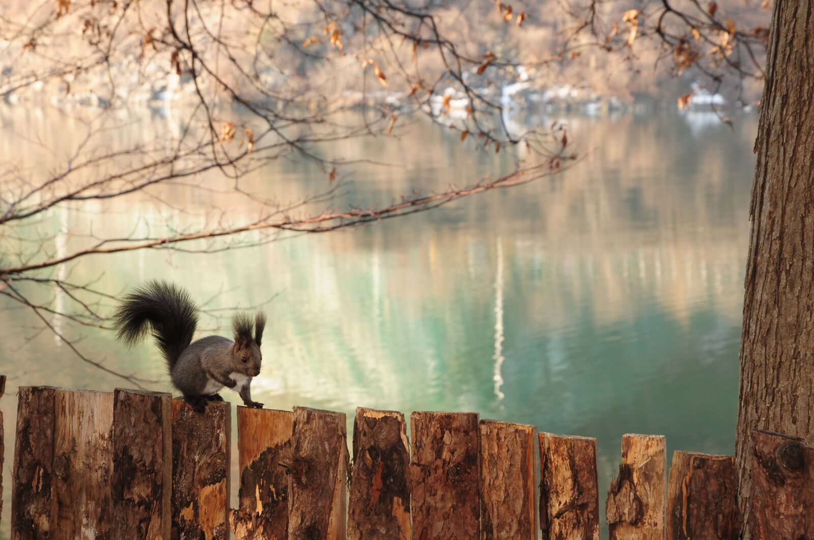 Nikon D300 sample photo. Clean console memory, autumn photography