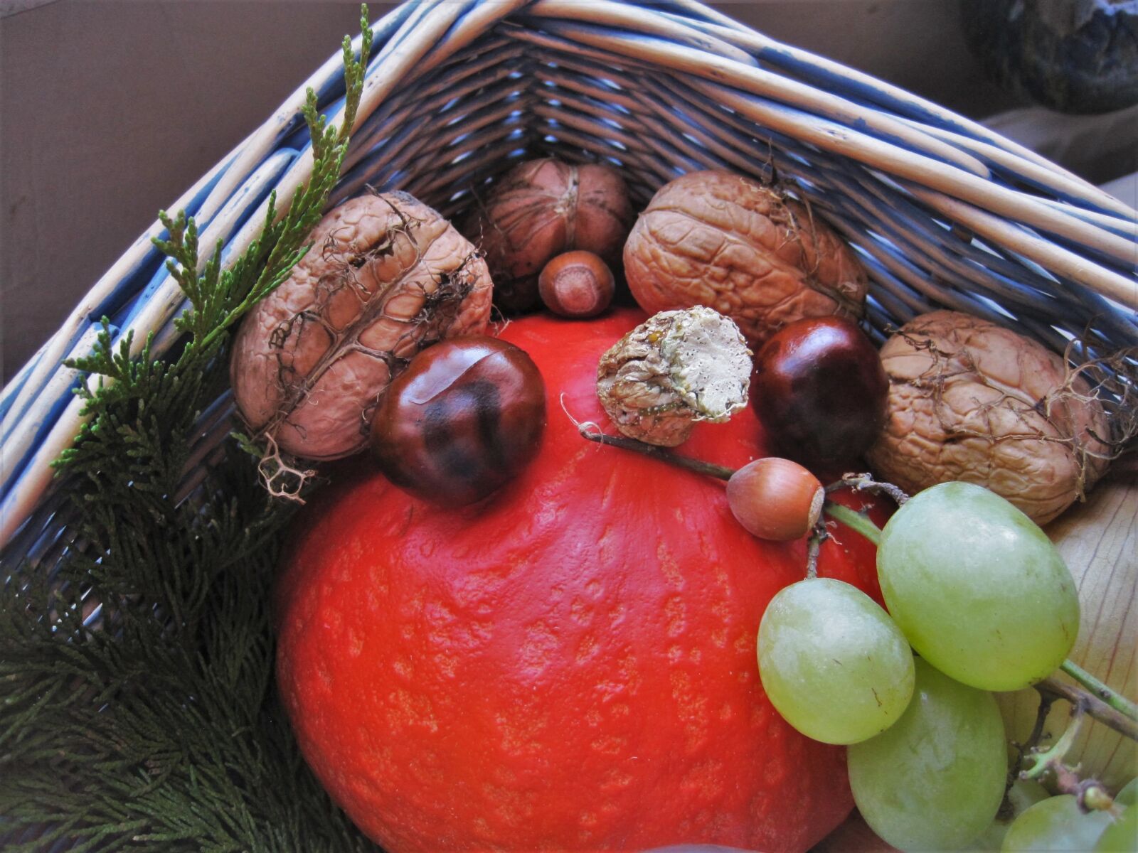 Canon PowerShot SD1200 IS (Digital IXUS 95 IS / IXY Digital 110 IS) sample photo. Autumn basket, autumn fruits photography