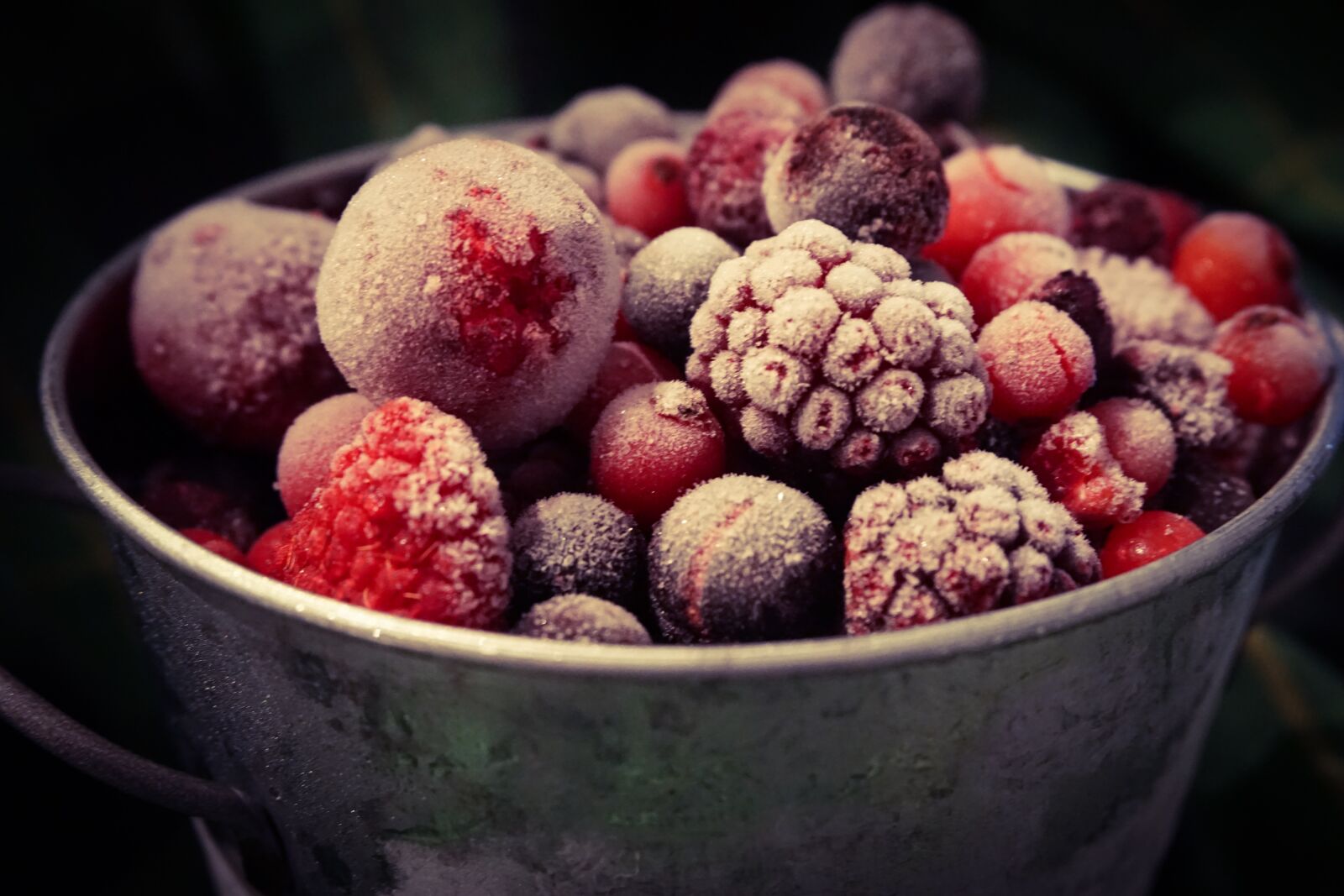 Sony E 16-50mm F3.5-5.6 PZ OSS sample photo. Red, and, purple, frozen photography