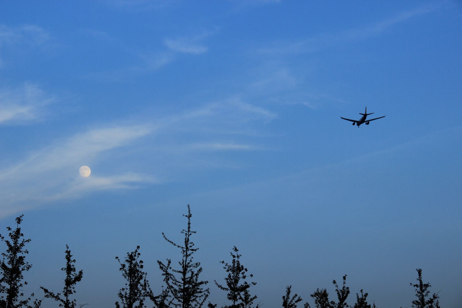 Canon EOS 600D (Rebel EOS T3i / EOS Kiss X5) sample photo. Sky, aircraft, moon photography