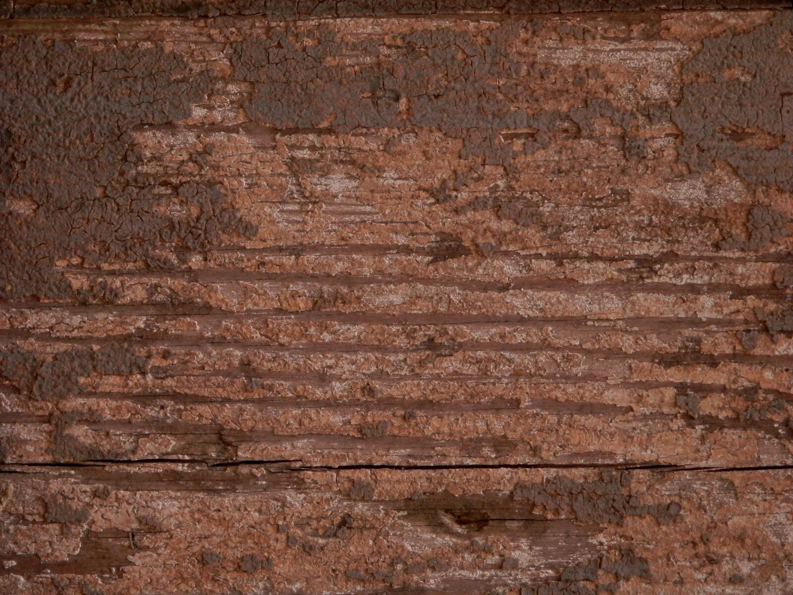 Olympus SZ-14 sample photo. Texture, wall, brick photography