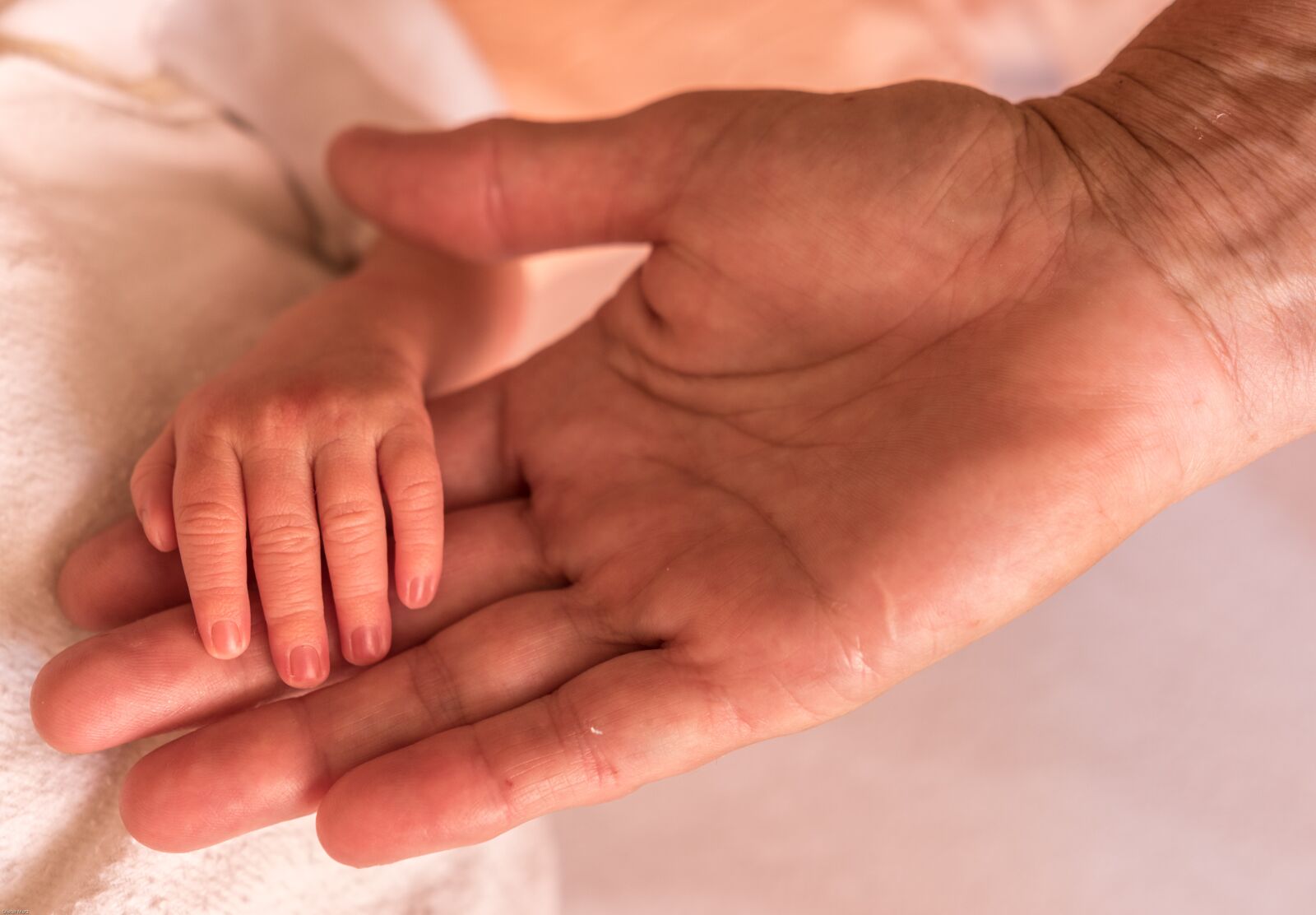 Canon EOS 7D Mark II sample photo. Hands, hand, finger photography