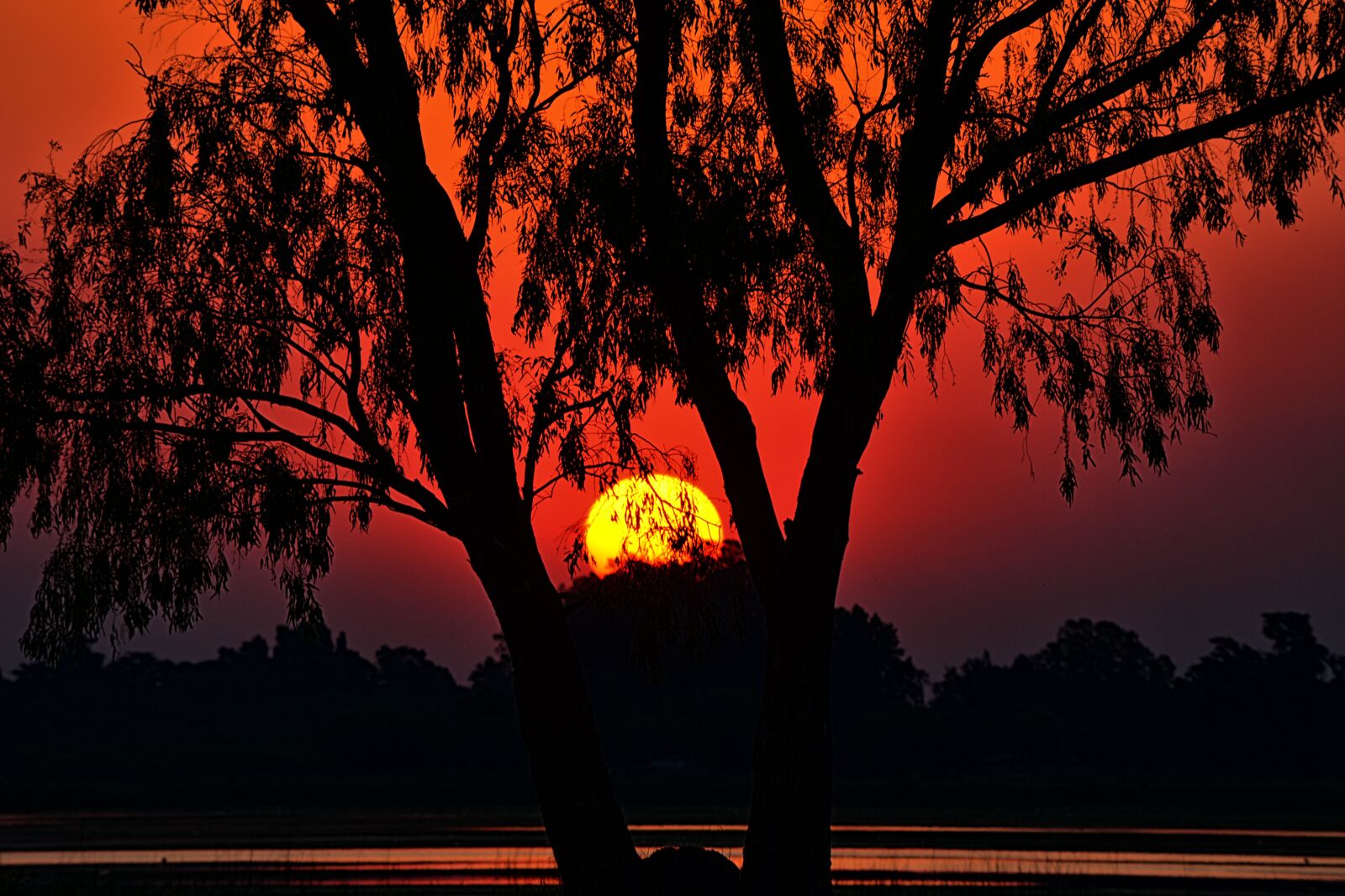 Nikon D5200 sample photo. Sunset, landscape, tree photography