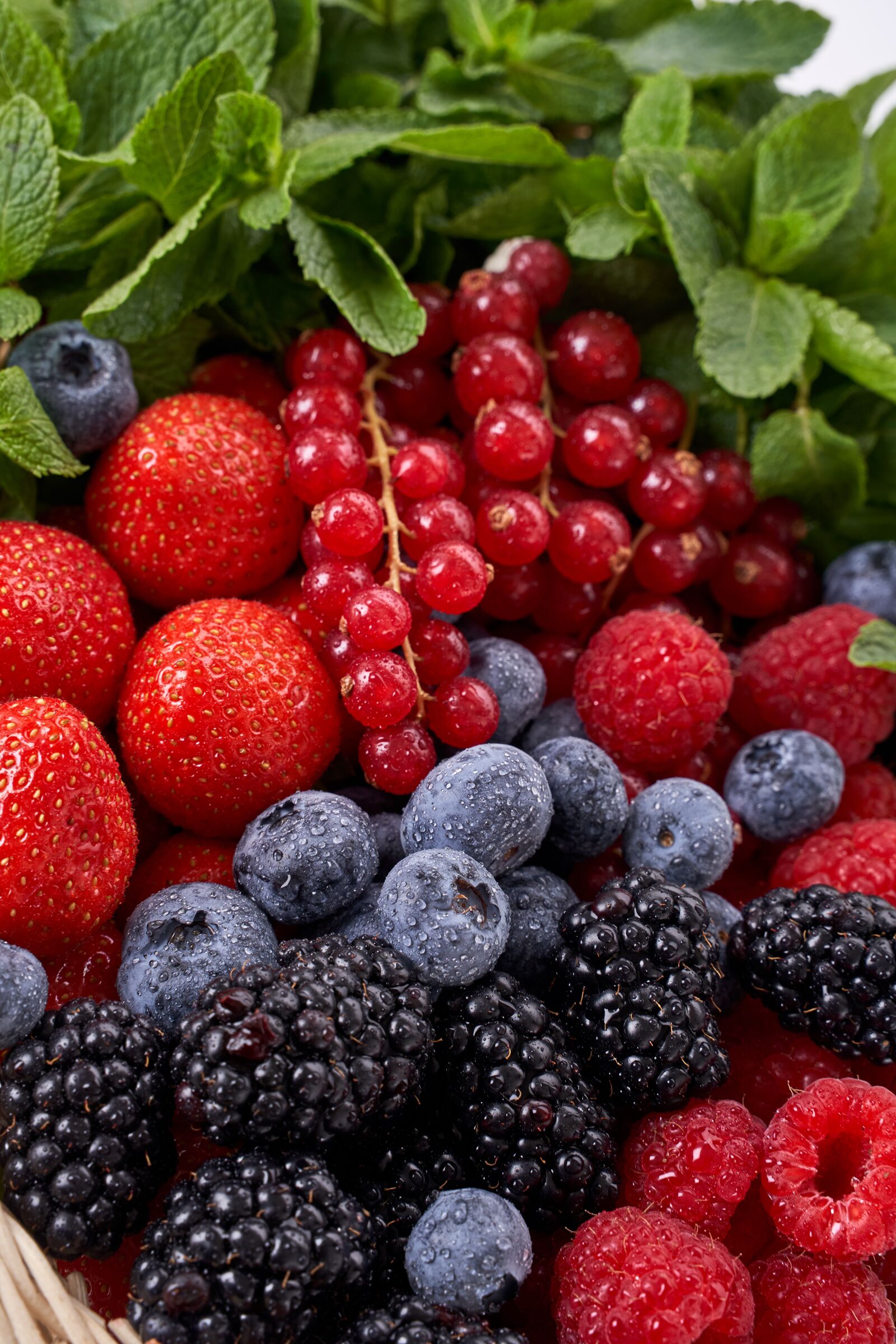 Sony a7 III + Tamron 28-75mm F2.8 Di III RXD sample photo. Berries, berry, fruit photography