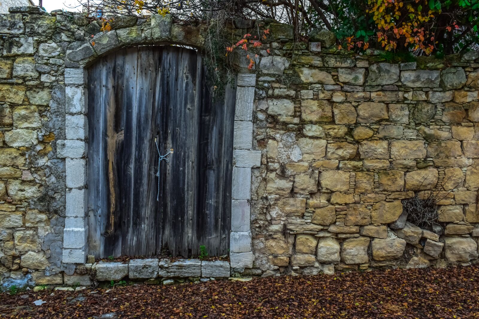Nikon D3300 sample photo. Door, old, wooden photography