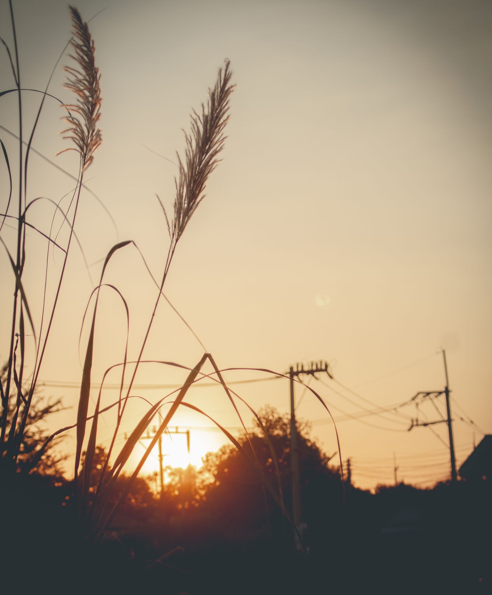 Canon EOS 700D (EOS Rebel T5i / EOS Kiss X7i) sample photo. Sky, west, grass photography