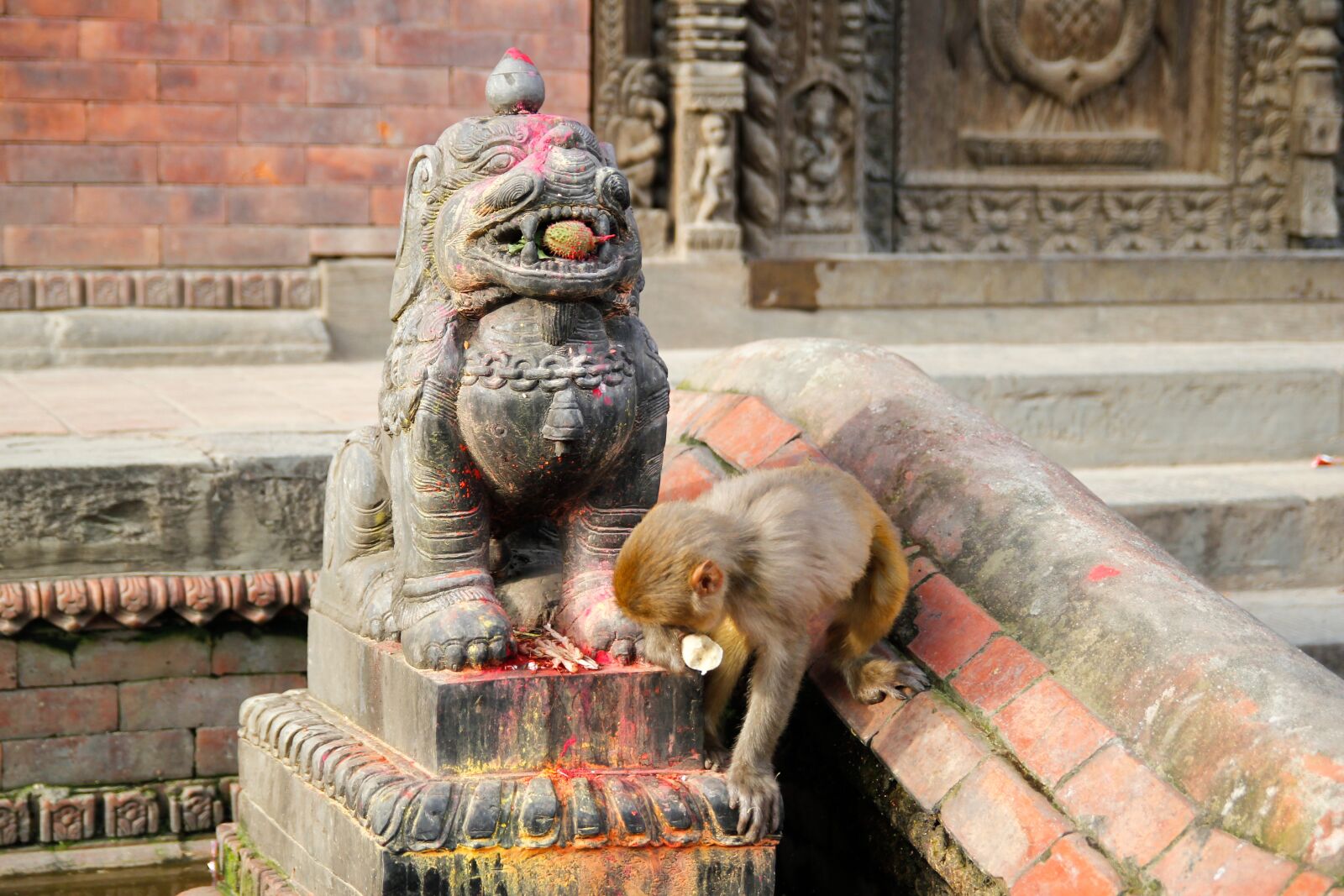 Canon EOS 550D (EOS Rebel T2i / EOS Kiss X4) sample photo. Kathmandu, nepal, asia photography
