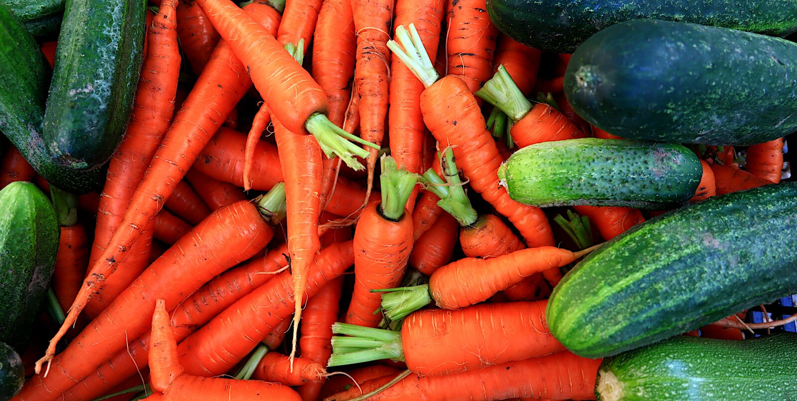Canon PowerShot G1 X Mark III sample photo. Vegetables, garden, bio photography