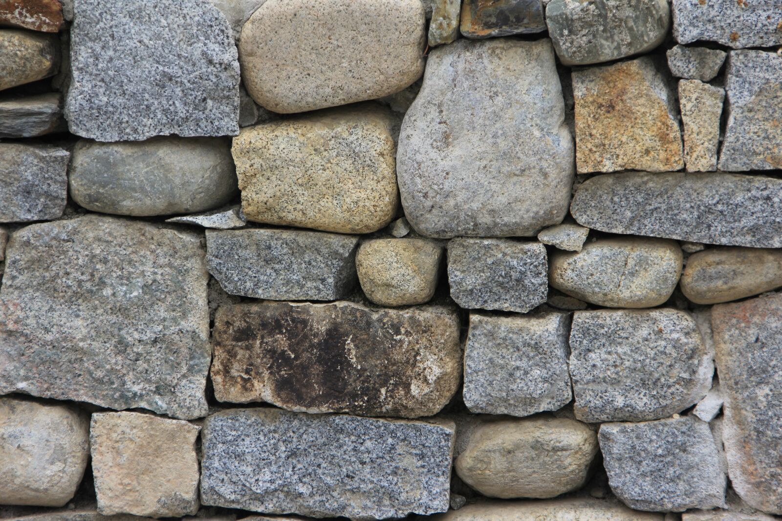 Canon EOS 60D sample photo. Grey, wall, nature photography