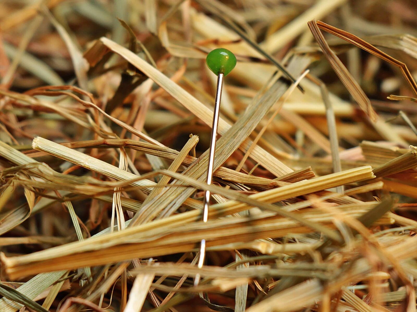 Canon EOS 550D (EOS Rebel T2i / EOS Kiss X4) sample photo. Needle, metal pin, object photography