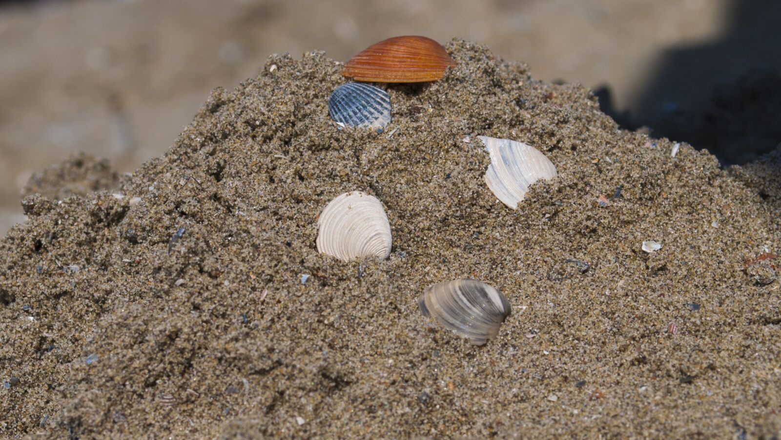 Nikon D90 sample photo. Sea, sand, beach photography