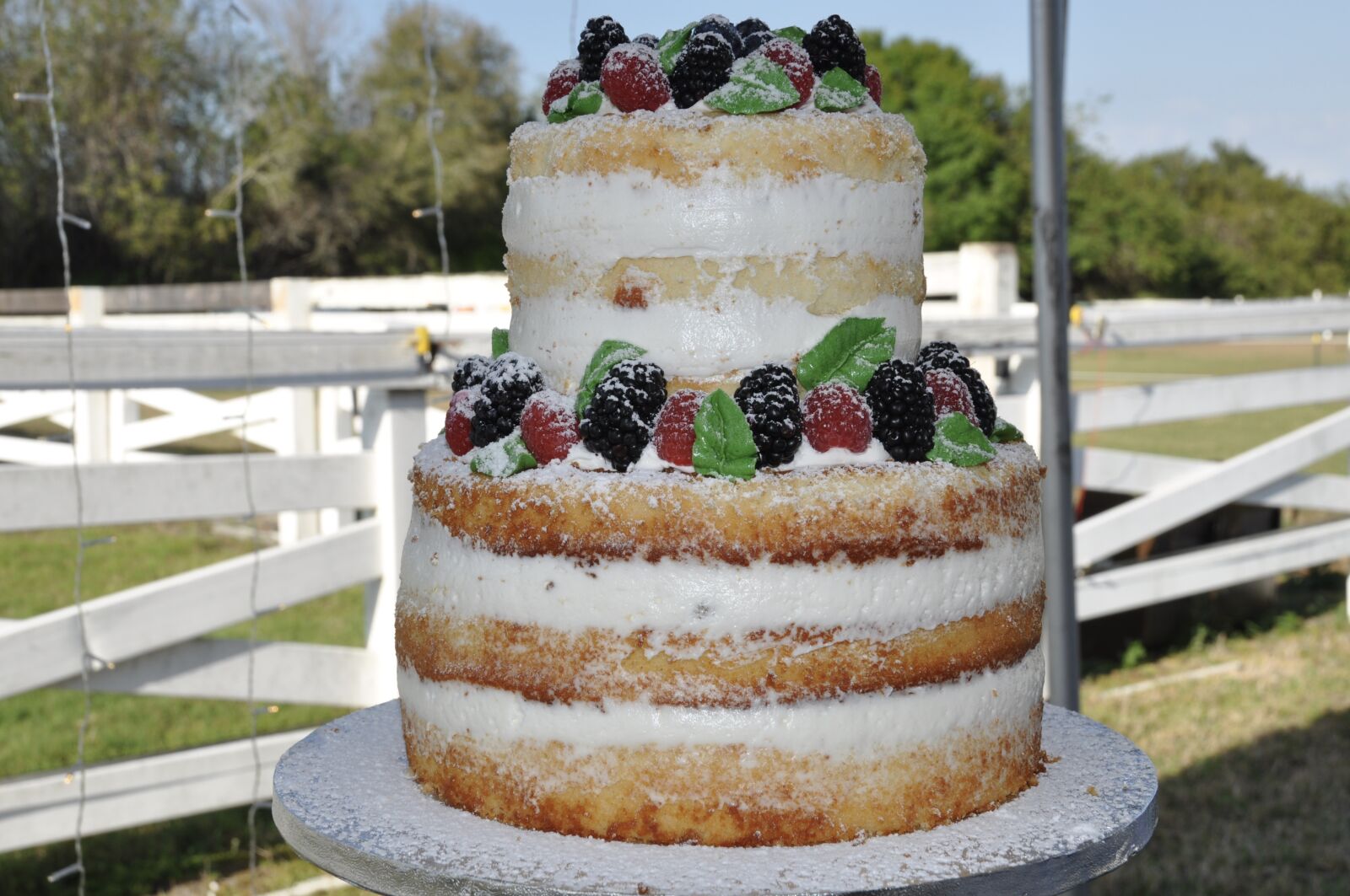 Nikon D90 sample photo. Cake, wedding, dessert photography