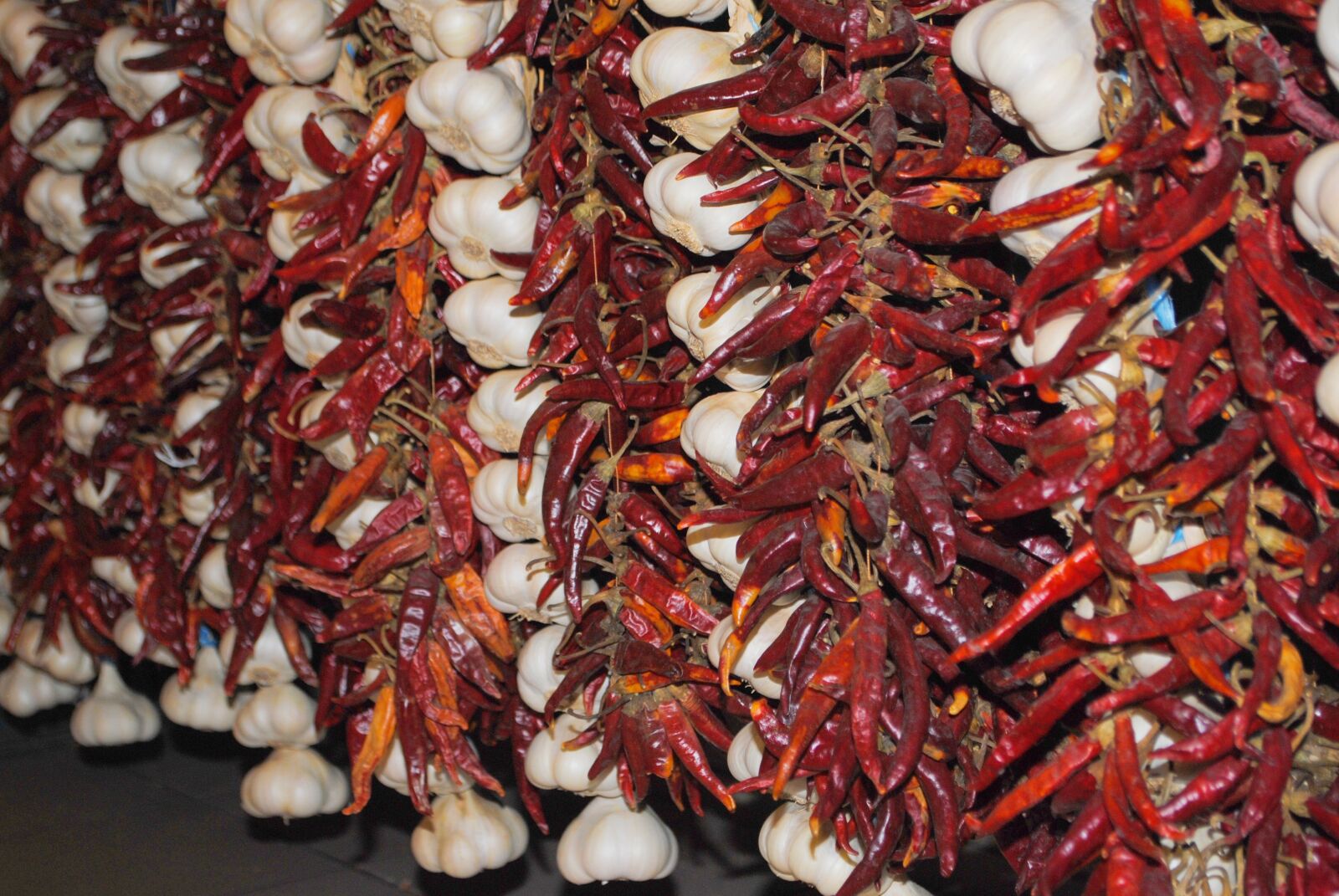 Nikon D3000 sample photo. Chili, garlic, spices photography