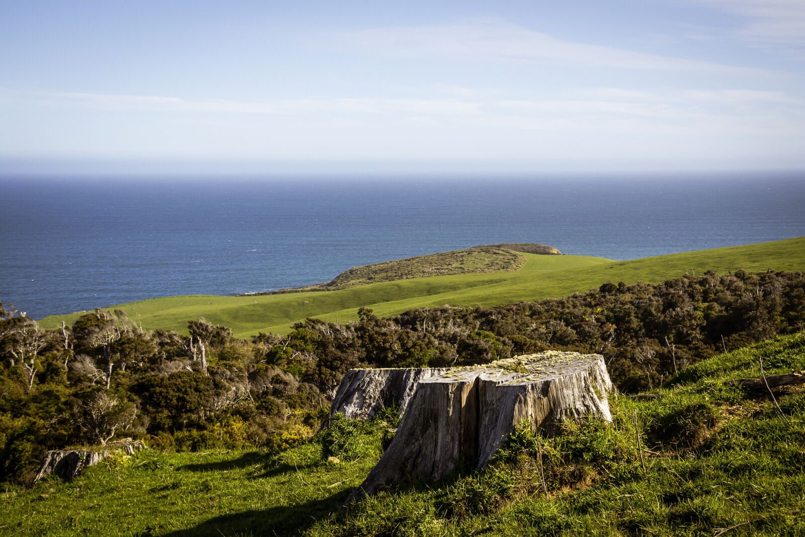 Nikon D3100 sample photo. Landscape, view, horizon photography