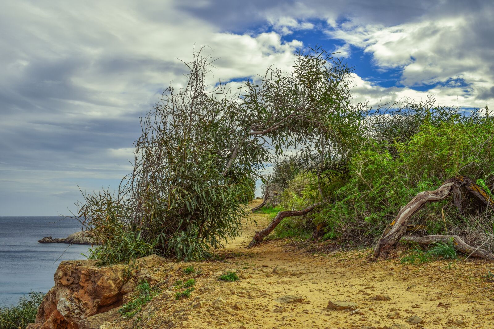 Nikon D3300 sample photo. Path, nature, tree photography