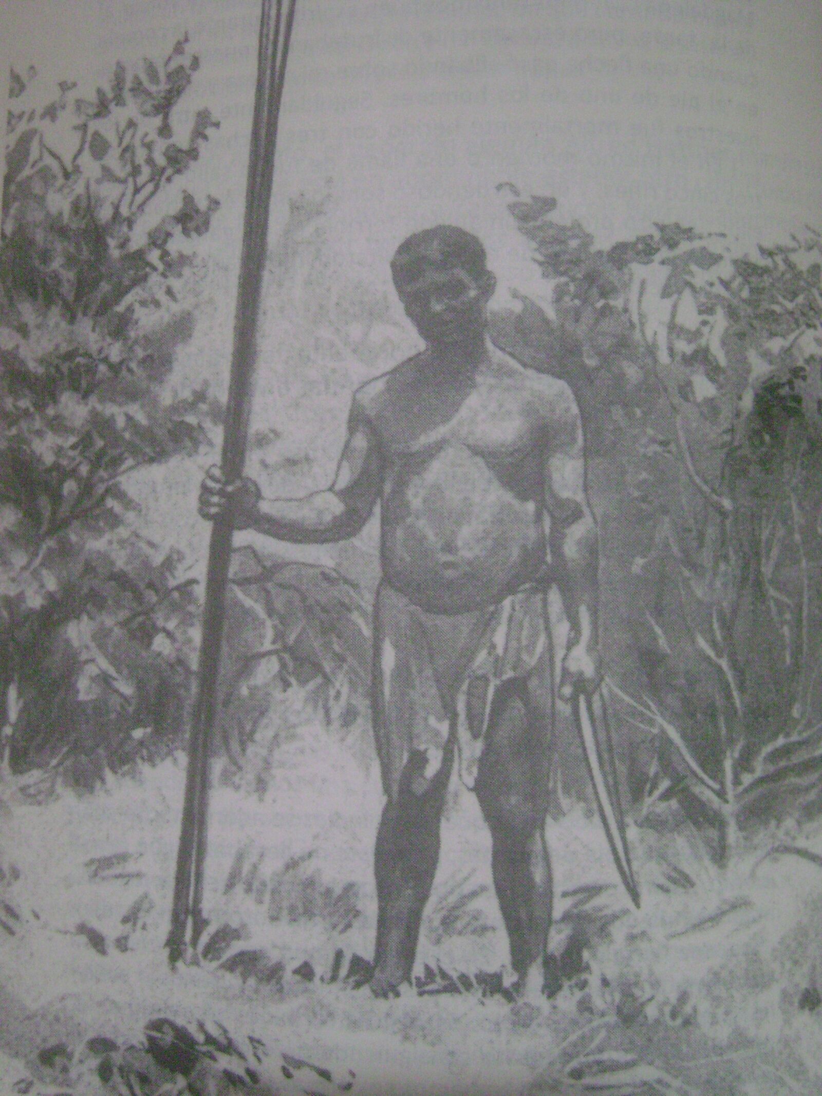 Sony DSC-S700 sample photo. Yariguies, aboriginal, archeology photography