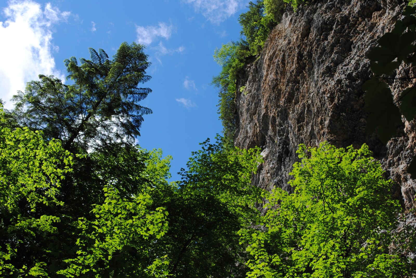 Nikon D3000 sample photo. Clammy, gorge, nature photography