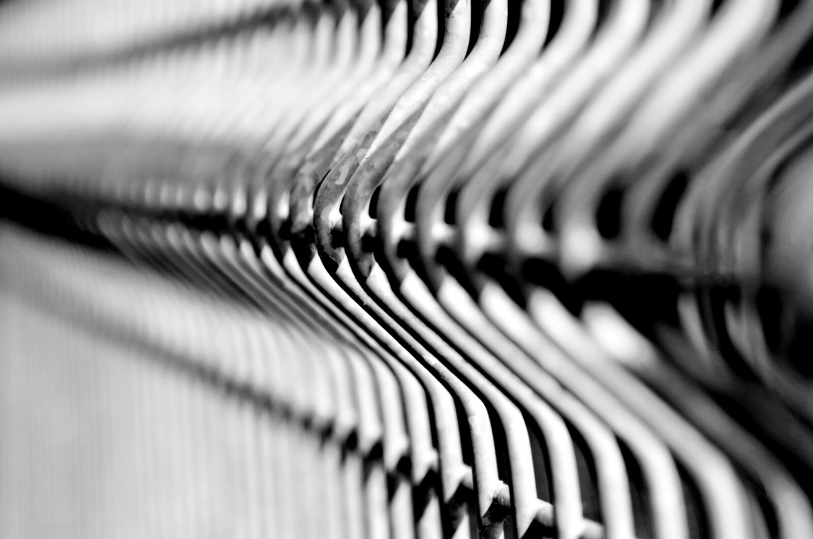 Nikon D7000 sample photo. Fence, metal, curved photography