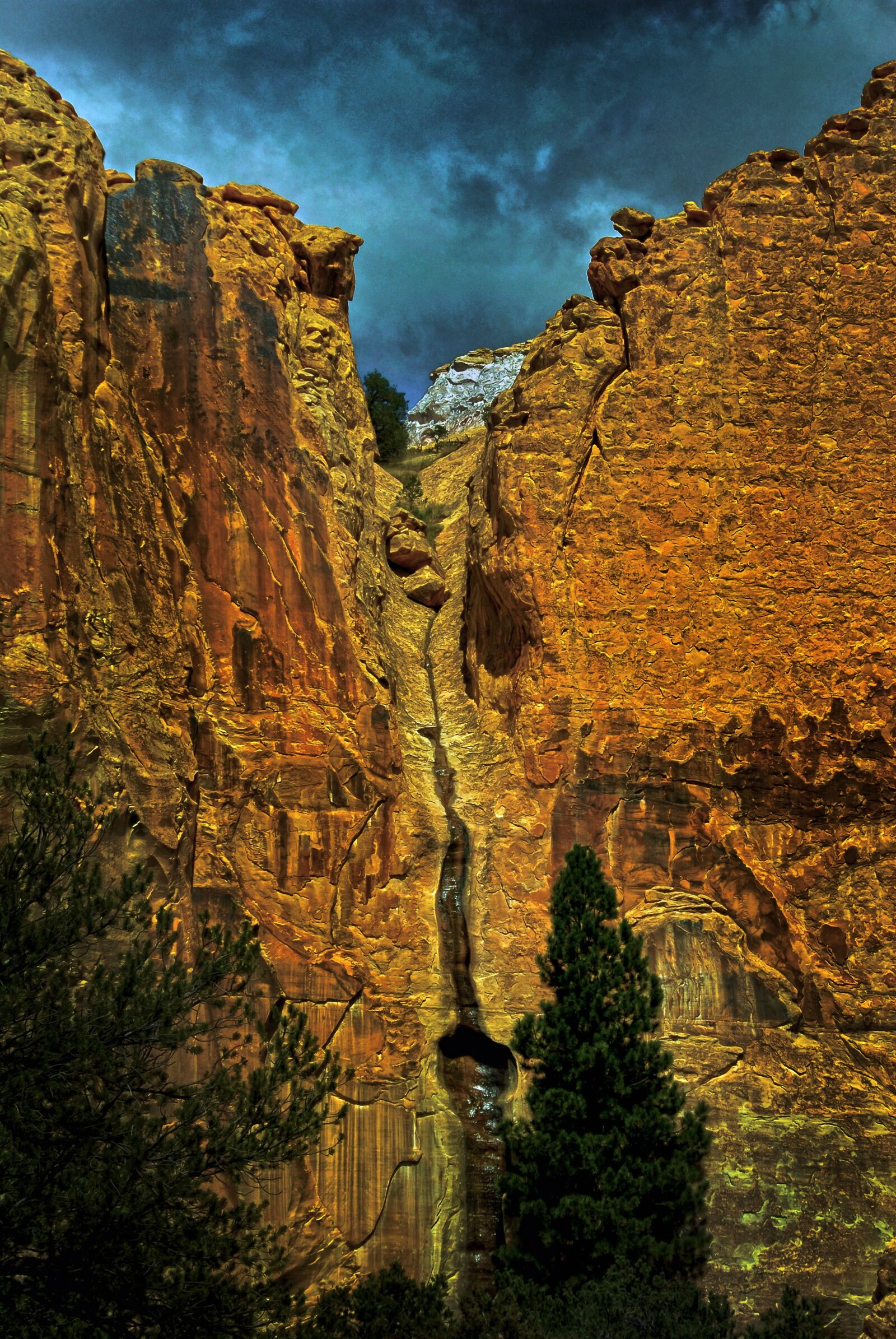 Nikon D200 sample photo. Watershed, new mexico, monument photography