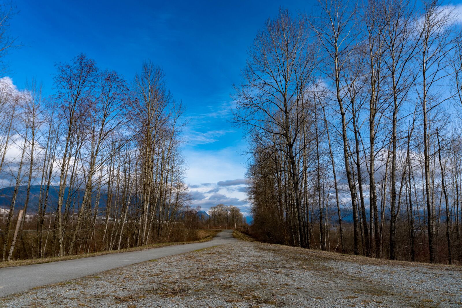 Sony a6300 sample photo. Trail, port coquitlam, british photography