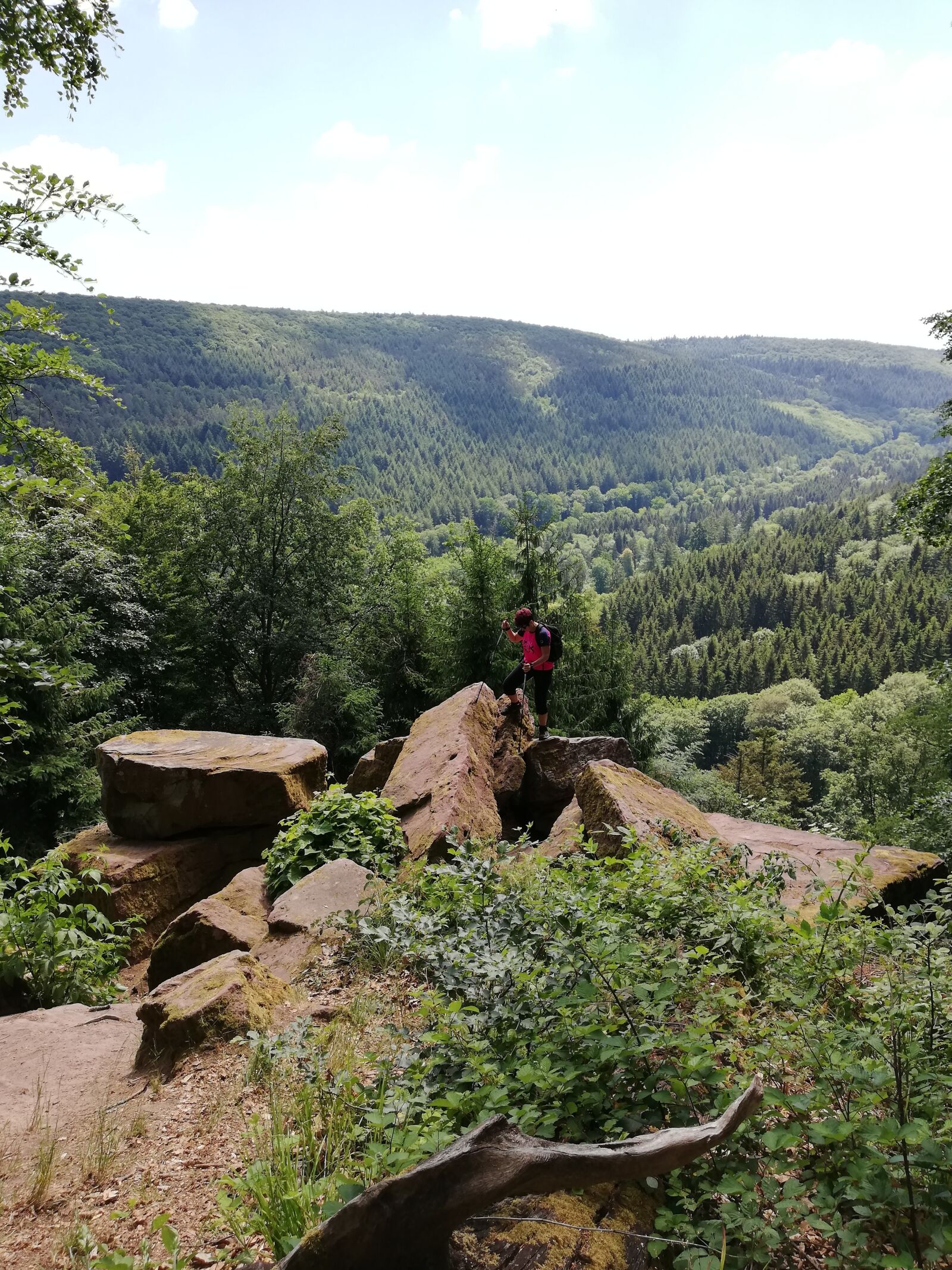 HUAWEI P20 lite sample photo. Hike, odenwald, thief stone photography